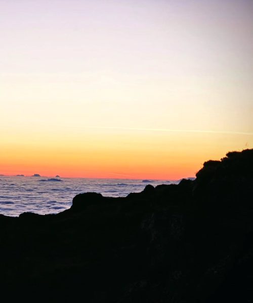 463345113_563971709624083_4086940834851501354_n